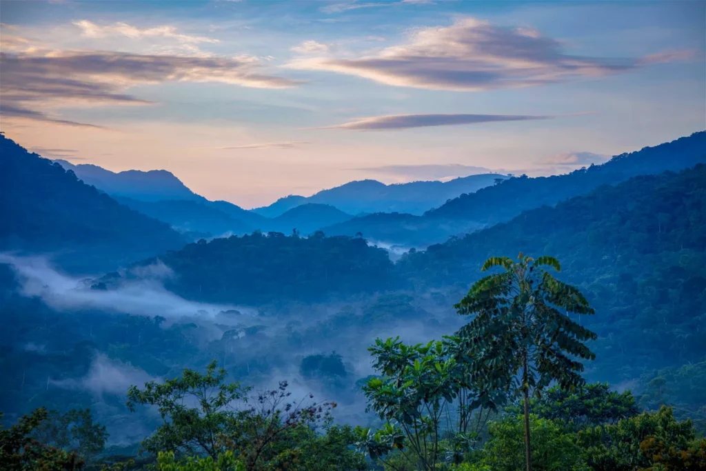 Gorilla Trekking Destinations