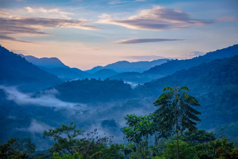 Gorilla Trekking Destinations