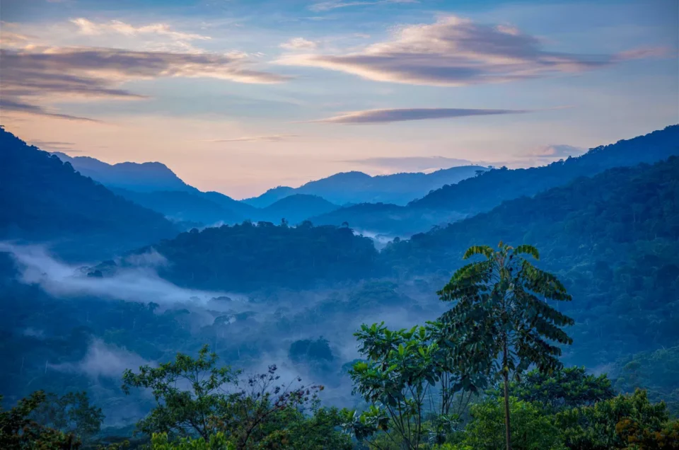 Gorilla Trekking Destinations