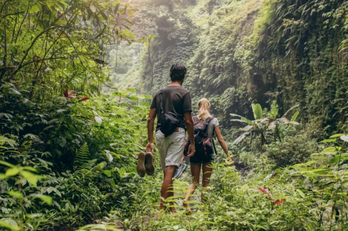 8 Days Rwanda Primates & Wildlife