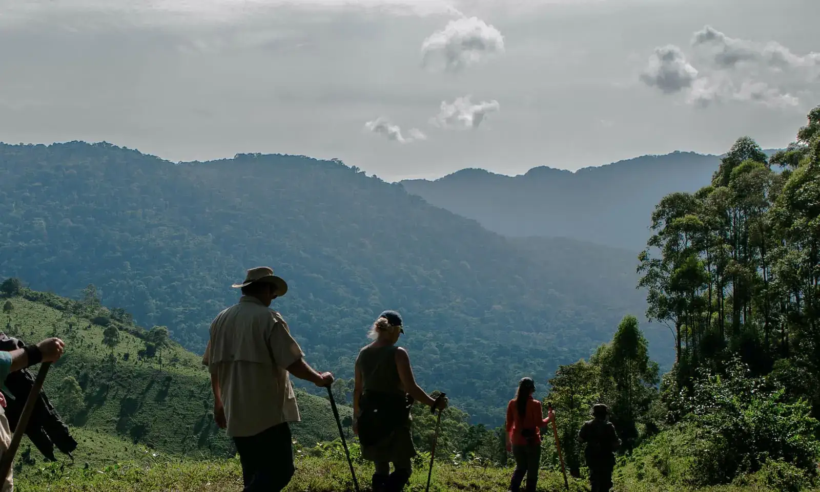 How difficult is gorilla trekking